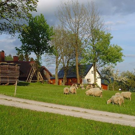 Affittacamere Na Zvonici Paseky nad Jizerou Esterno foto