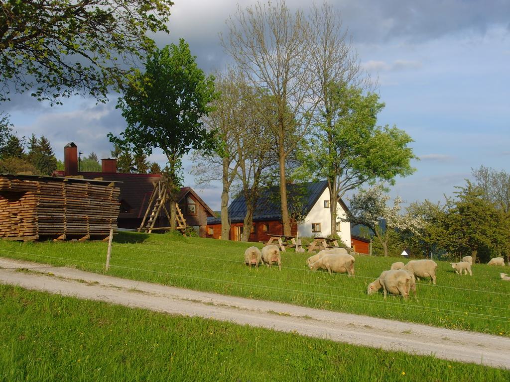 Affittacamere Na Zvonici Paseky nad Jizerou Esterno foto