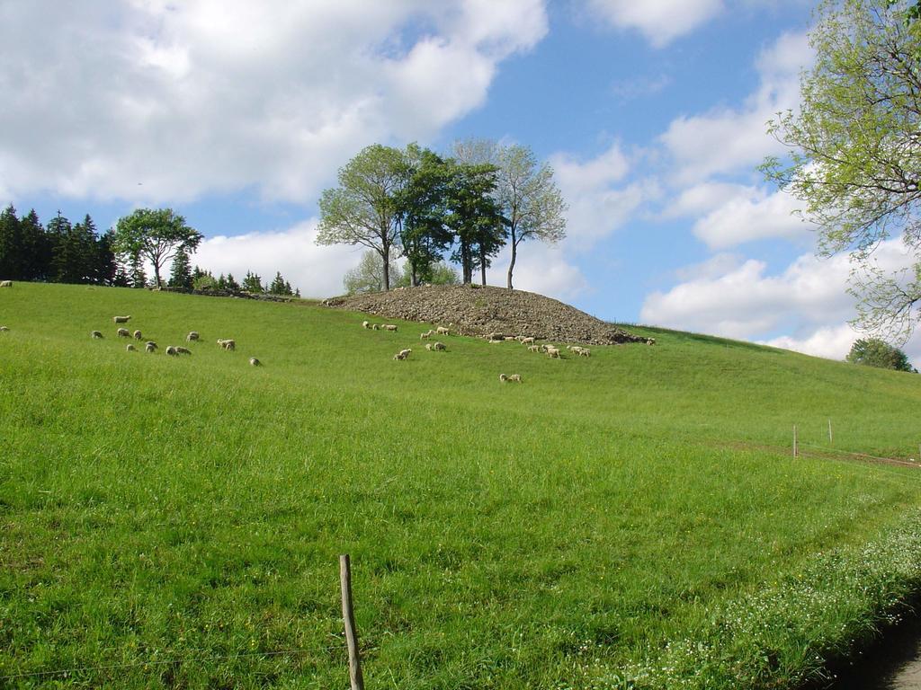 Affittacamere Na Zvonici Paseky nad Jizerou Esterno foto